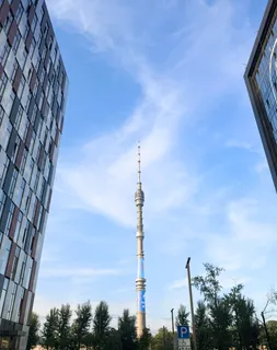 Офис
